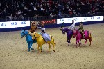Quadrille - 00508